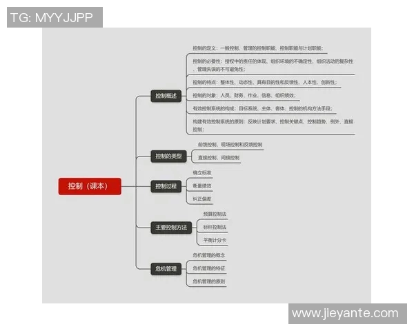 深入分析WE战队控制打法的策略与执行细节
