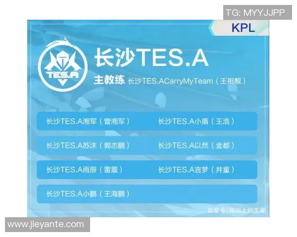 深入分析TES战队的转换打法及其在比赛中的应用策略